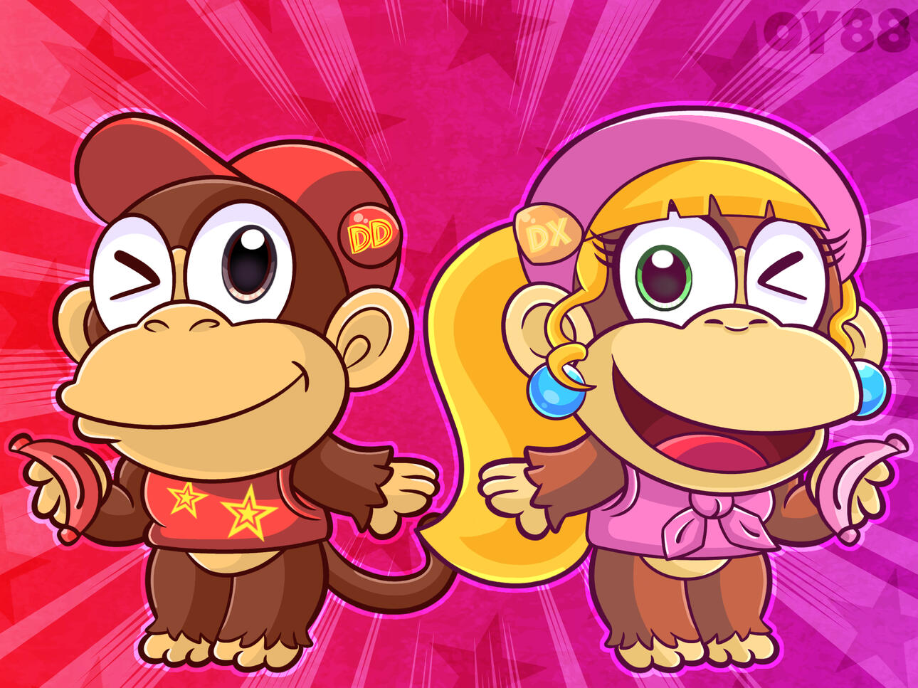 DKC2 30th Anniversary 2025